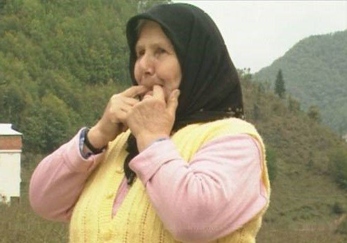 turkey whistle language