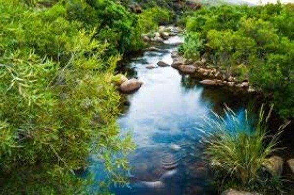 Water bodies