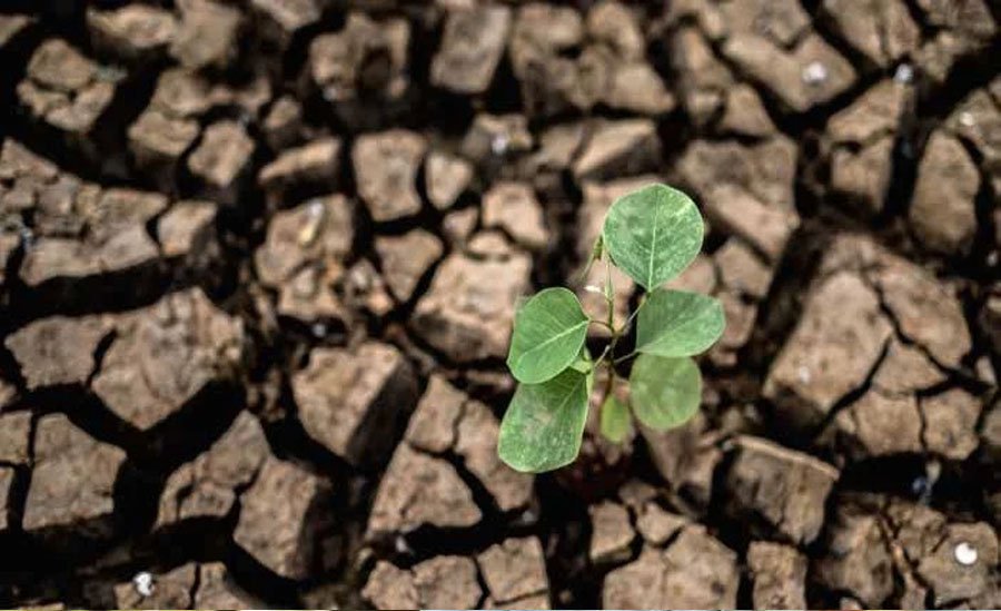 Sustainability through Interact clubs