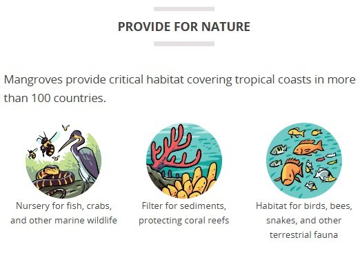 Provide for Nature