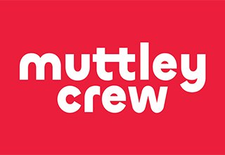 festive joy for rescue dogs